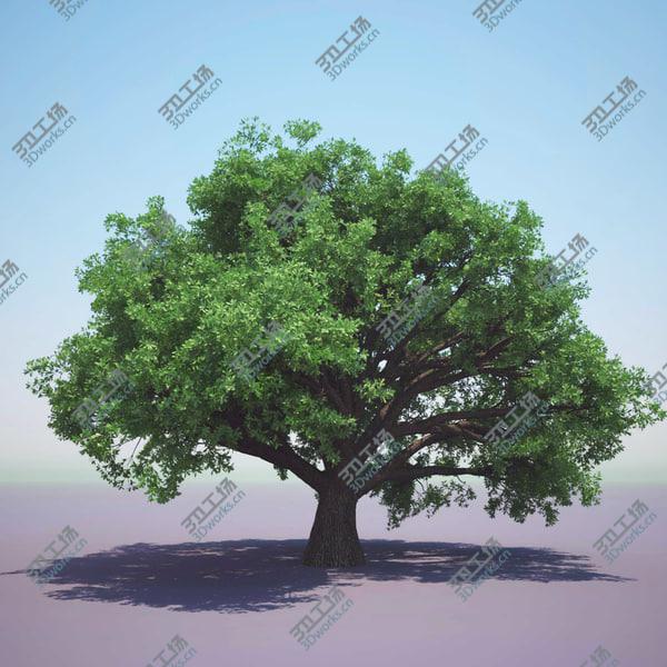 images/goods_img/20210312/English Oak (For Any Season)/2.jpg